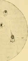 Picture 7 of 8 from The hygiene of mind (1907), leaf 266