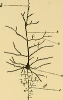 An illustration from The hygiene of mind (1907)
