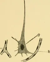 An illustration from The hygiene of mind (1907)
