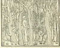 Picture 1 of 53 from Hypnerotomachia Poliphili : ubi humana omnia non nisi somnium esse docet atque obiter plurima scitu sane quam digna commemorat, leaf 18