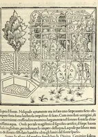 Picture 45 of 53 from Hypnerotomachia Poliphili : ubi humana omnia non nisi somnium esse docet atque obiter plurima scitu sane quam digna commemorat, leaf 369