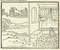 Picture 50 of 53 from Hypnerotomachia Poliphili : ubi humana omnia non nisi somnium esse docet atque obiter plurima scitu sane quam digna commemorat, leaf 420