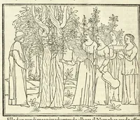 Picture 7 of 53 from Hypnerotomachia Poliphili : ubi humana omnia non nisi somnium esse docet atque obiter plurima scitu sane quam digna commemorat, leaf 80