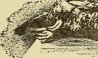 An illustration from Hypnotism and hypnotic suggestion; a scientific treatise on the uses and possibilities of hypnotism, suggestion and allied phenomena (1900)