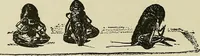 An illustration from Hypnotism and hypnotic suggestion. A scientific treatise on the uses and possibilities of hypnotism, suggestion and allied phenomena (1900)
