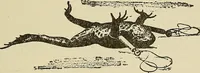 An illustration from Hypnotism and hypnotic suggestion. A scientific treatise on the uses and possibilities of hypnotism, suggestion and allied phenomena (1900)
