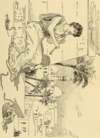 Picture 37 of 72 from Hypnotism, its facts, theories, and related phenomena; (1893), leaf 146