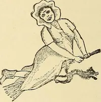 Picture 47 of 72 from Hypnotism, its facts, theories, and related phenomena; (1893), leaf 209