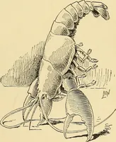 Picture 10 of 72 from Hypnotism, its facts, theories, and related phenomena; (1893), leaf 26