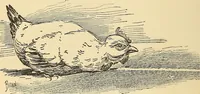 An illustration from Hypnotism, its facts, theories, and related phenomena; (1893)