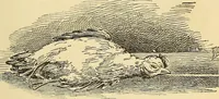 An illustration from Hypnotism, its facts, theories, and related phenomena; (1893)