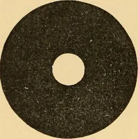 Picture 6 of 70 from Hypnotism, its facts, theories and related phenomena, with explanatory anecdotes (1900), leaf 21
