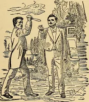Picture 56 of 70 from Hypnotism, its facts, theories and related phenomena, with explanatory anecdotes (1900), leaf 254