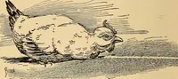 An illustration from Hypnotism, its facts, theories and related phenomena, with explanatory anecdotes (1900)