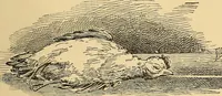 An illustration from Hypnotism, its facts, theories and related phenomena, with explanatory anecdotes (1900)