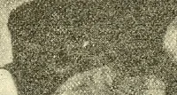 An illustration from Hypnotism, mesmerism and the new witchcraft (1896)