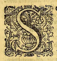 Picture 11 of 27 from Hypomnema apologeticum pro regali Academia Limensi in Lipsianam periodum. : Ad Limensem regium senatum: regios iudices: conscriptos senatores. Accedunt dissertatiunculae gymnasticæ palæstricæ, canonico-legales, aut promiscuæ: partim extemporaneæ, expolitæ, & vtiles; ceu res ipsa ostendet. Authore D.D. Didaco de Leon Pinelo .. (1648), leaf 273