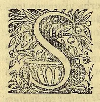 Picture 19 of 27 from Hypomnema apologeticum pro regali Academia Limensi in Lipsianam periodum. : Ad Limensem regium senatum: regios iudices: conscriptos senatores. Accedunt dissertatiunculae gymnasticæ palæstricæ, canonico-legales, aut promiscuæ: partim extemporaneæ, expolitæ, & vtiles; ceu res ipsa ostendet. Authore D.D. Didaco de Leon Pinelo .. (1648), leaf 378