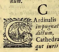 An illustration from Hypomnema apologeticum pro regali Academia Limensi in Lipsianam periodum. : Ad Limensem regium senatum: regios iudices: conscriptos senatores. Accedunt dissertatiunculae gymnasticæ palæstricæ, canonico-legales, aut promiscuæ: partim extemporaneæ, expolitæ, & vtiles; ceu res ipsa ostendet. Authore D.D. Didaco de Leon Pinelo .. (1648)