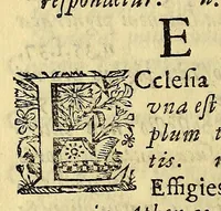 An illustration from Hypomnema apologeticum pro regali Academia Limensi in Lipsianam periodum. : Ad Limensem regium senatum: regios iudices: conscriptos senatores. Accedunt dissertatiunculae gymnasticæ palæstricæ, canonico-legales, aut promiscuæ: partim extemporaneæ, expolitæ, & vtiles; ceu res ipsa ostendet. Authore D.D. Didaco de Leon Pinelo .. (1648)