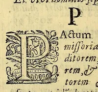 Picture 23 of 27 from Hypomnema apologeticum pro regali Academia Limensi in Lipsianam periodum. : Ad Limensem regium senatum: regios iudices: conscriptos senatores. Accedunt dissertatiunculae gymnasticæ palæstricæ, canonico-legales, aut promiscuæ: partim extemporaneæ, expolitæ, & vtiles; ceu res ipsa ostendet. Authore D.D. Didaco de Leon Pinelo .. (1648), leaf 406