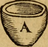 Picture 6 of 12 from Iacobi Bessoni De absoluta ratione extrahendi olea, & aquas è medicamentis simplicibus : accepta olim à quodam empirico, postea uero ab eodem Bessono locupletata, & rationibus experime[n]tisq[ue] confirmata, liber (1559), leaf 16