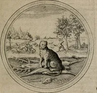 Picture 45 of 56 from Iacobi â Bruck Angermunt cogn. Emblemata Politica : Quibus ea, quæ ad principatum spectant, breviter demonstrantur, singuloru[m] verò explicatio fusius proponitur ; Opus novum (1618), leaf 182