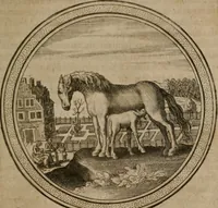 An illustration from Iacobi â Bruck Angermunt cogn. Emblemata Politica : Quibus ea, quæ ad principatum spectant, breviter demonstrantur, singuloru[m] verò explicatio fusius proponitur ; Opus novum (1618)