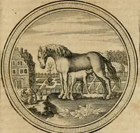 Picture 20 of 55 from Iacobi â Bruck Angermunt cogn. Emblemata politica : quibus ea, quae ad principatum spectant breviter demonstrantur singuloru[m] verò explicatio fusius proponitur : opus novum (1618), leaf 84