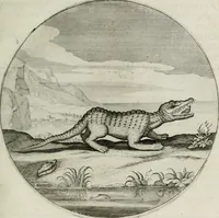 An illustration from Iacobi Catzii ... Silenus Alcibiades, sive Proteus: (1618)