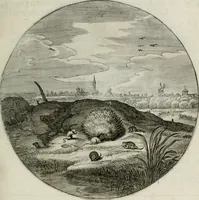 An illustration from Iacobi Catzii ... Silenus Alcibiades, sive Proteus: (1618)
