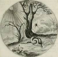 Picture 42 of 125 from Iacobi Catzii ... Silenus Alcibiades, sive Proteus: (1618), leaf 114