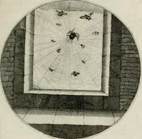 An illustration from Iacobi Catzii ... Silenus Alcibiades, sive Proteus: (1618)