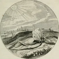 An illustration from Iacobi Catzii ... Silenus Alcibiades, sive Proteus: (1618)