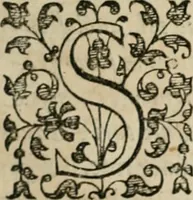 An illustration from Iacobi Catzii ... Silenus Alcibiades, sive Proteus: (1618)