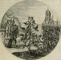 Picture 91 of 125 from Iacobi Catzii ... Silenus Alcibiades, sive Proteus: (1618), leaf 442