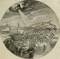 An illustration from Iacobi Catzii ... Silenus Alcibiades, sive Proteus: (1618)