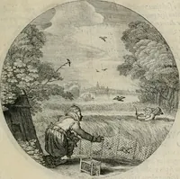 An illustration from Iacobi Catzii ... Silenus Alcibiades, sive Proteus: (1618)