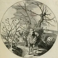 An illustration from Iacobi Catzii ... Silenus Alcibiades, sive Proteus: (1618)