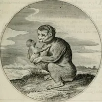 An illustration from Iacobi Catzii ... Silenus Alcibiades, sive Proteus: (1618)