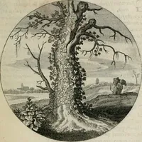 An illustration from Iacobi Catzii ... Silenus Alcibiades, sive Proteus: (1618)
