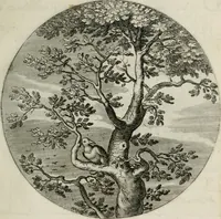 An illustration from Iacobi Catzii ... Silenus Alcibiades, sive Proteus: (1618)