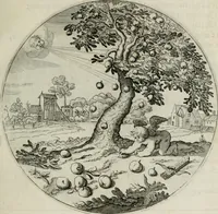 An illustration from Iacobi Catzii ... Silenus Alcibiades, sive Proteus: (1618)