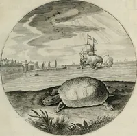 Picture 20 of 125 from Iacobi Catzii ... Silenus Alcibiades, sive Proteus: (1618), leaf 70