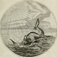 An illustration from Iacobi Catzii ... Silenus Alcibiades, sive Proteus: (1618)