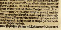 An illustration from Iacobi Franci Relationis historicae continuatio, oder Warhafftige Beschreibünge aller fürnemen vnnd gedenckwürdigen Historien, : so sich hin vnnd wider, in hoch vnnd nider Teutschland, auch in Franckreich, Schott- vnnd Engelland, Hispanien, Hungarn, Polen, Siebenbürgen, Wallachey, Moldaw, Türckey, &c. etwas zuvor vnd hierzwischen nechstverschiener Franckfurter Fastenmessz biss auff diese Herbstmessz dieses 1613. Jahrs, verlauffen vnd zugetragen. (1613)