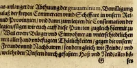 An illustration from Iacobi Franci Relationis historicae continuatio, oder Warhafftige Beschreibünge aller fürnemen vnnd gedenckwürdigen Historien, : so sich hin vnnd wider, in hoch vnnd nider Teutschland, auch in Franckreich, Schott- vnnd Engelland, Hispanien, Hungarn, Polen, Siebenbürgen, Wallachey, Moldaw, Türckey, &c. etwas zuvor vnd hierzwischen nechstverschiener Franckfurter Fastenmessz biss auff diese Herbstmessz dieses 1613. Jahrs, verlauffen vnd zugetragen. (1613)