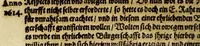 An illustration from Iacobi Franci Relationis historicae Continuatio, oder Warhafftige Beschreibunge aller fürnemen unnd gedenckwürdigen Historien, : so sich hin vnnd wider in hoch vnnd nider Teutschland, auch in Franckreich, Schott- vnnd Engelland, Hispanien, Hungarn, Polen, Siebenbürgen, Wallachey, Moldaw, Türckey &c. etwas zuvor vnd hierzwischen nechstverschiener Franckfurter Fastenmessz biss auff diese Herbstmessz dieses 1614. Jahrs, verlauffen vnd zugetragen. (1614)