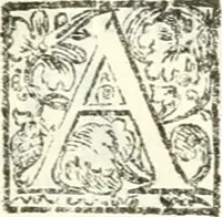 Picture 94 of 95 from Iacobi Philippi Tomasini patavini Illustrium virorum elogia, iconibus exornata (1630), leaf 434