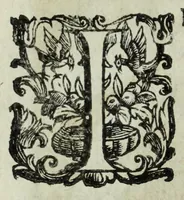 An illustration from Iacobi Philippi Tomasini patauini episcopi aemoniensis Elogia virorum literis & sapientia illustrium ad viuum expressis imaginibus exornata (1644)